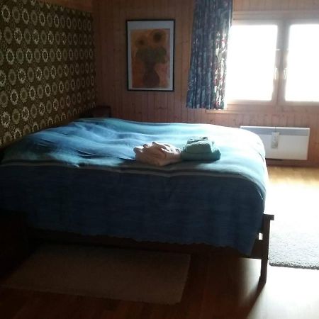 Walser Chalet Casa Paterna Дізентіс Екстер'єр фото